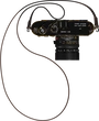 Camera 01 - orth_top