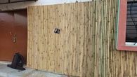 Bamboo Wall - context_01