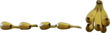 Bananas - orth_front
