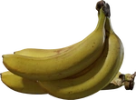 Bananas - orth_side
