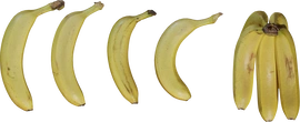 Bananas - orth_top