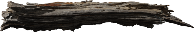 Bark Debris 01 - orth_side