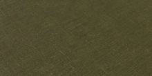 Book Pattern - primary_flat