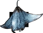 Bronze Ray Statue - orth_top