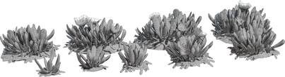 Cheiridopsis Succulent - clay