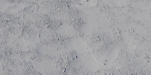 Coast Sand 04 - clay