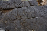 Dark Rock - reference