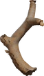 Dead Quiver Branch 01 - orth_front
