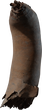 Dead Quiver Branch 02 - orth_side