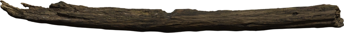 Dead Tree Trunk - orth_front