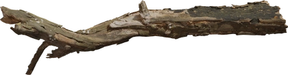 Dead Tree Trunk 02 - orth_front