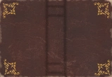 Decorative Book Set 01 - leather book