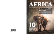 Decorative Book Set 01 - Africa