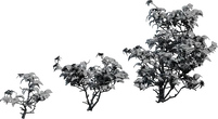 Didelta Spinosa - clay