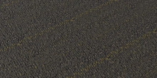 Dirty Carpet - primary_flat