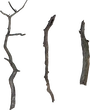 Dry Branches Medium 01 - orth_top