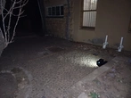 Embedded Rock Floor - Context_1