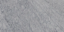 Eucalyptus Bark - clay