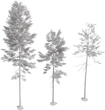 Fir Tree 01 - clay