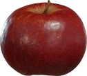 Food Apple 01 - orth_front