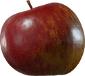 Food Apple 01 - orth_side