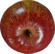 Food Apple 01 - orth_top