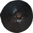 Food Avocado 01 - orth_top