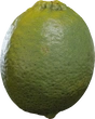 Food Lime 01 - orth_front