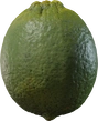 Food Lime 01 - orth_side
