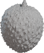 Food Lychee 01 - clay