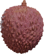 Food Lychee 01 - orth_front