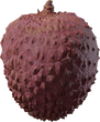 Food Lychee 01 - orth_side