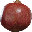 Food Pomegranate 01 - orth_front