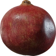 Food Pomegranate 01 - orth_side