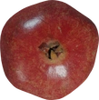 Food Pomegranate 01 - orth_top