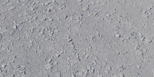 Forest Floor - clay