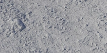 Forest Ground 04 - clay