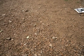 Forest Ground 06 - reference