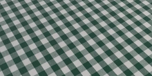 Gingham Check - primary_flat