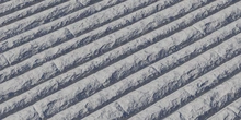 Granite Wall - clay