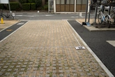 Grass Concrete Pavement - Context_01