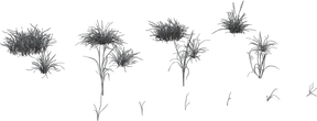 Grass Medium 01 - clay