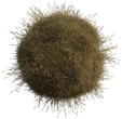 Grass Medium 01 - dry