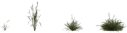 Grass Medium 01 - orth_side