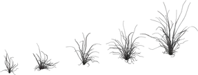 Grass Medium 02 - clay