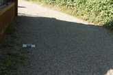 Gravel Floor - DSC01535