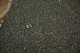 Gravel Stones - context_02