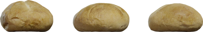 Hamburger Buns - orth_front
