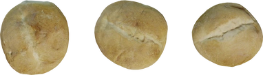 Hamburger Buns - orth_top