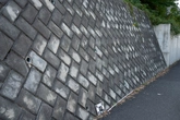 Herringbone Concrete Tile 03 - reference